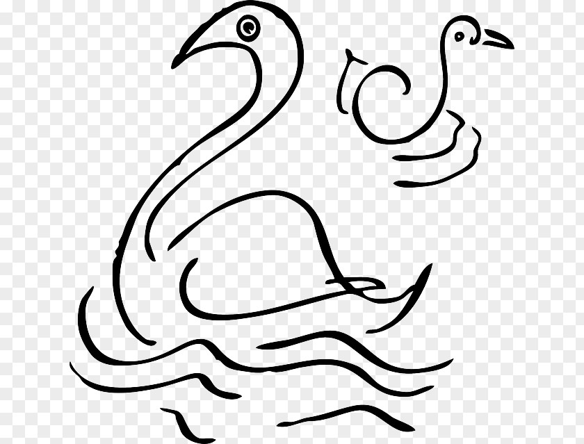 Mute Swan Clip Art PNG