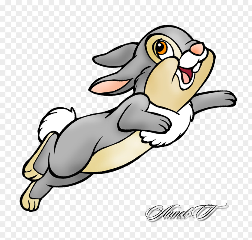 Rabbit Thumper Show Jumping Clip Art PNG