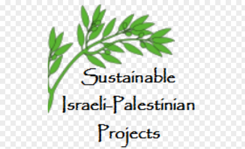 Sustainable Israeli-Palestinian Projects Organization Hebron Israeli–Palestinian Conflict PNG