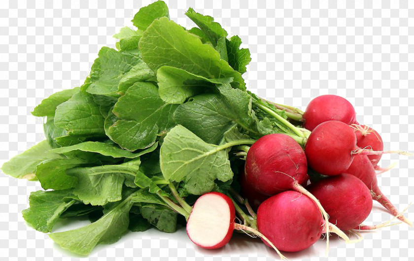Vegetable Organic Food Daikon Seed PNG