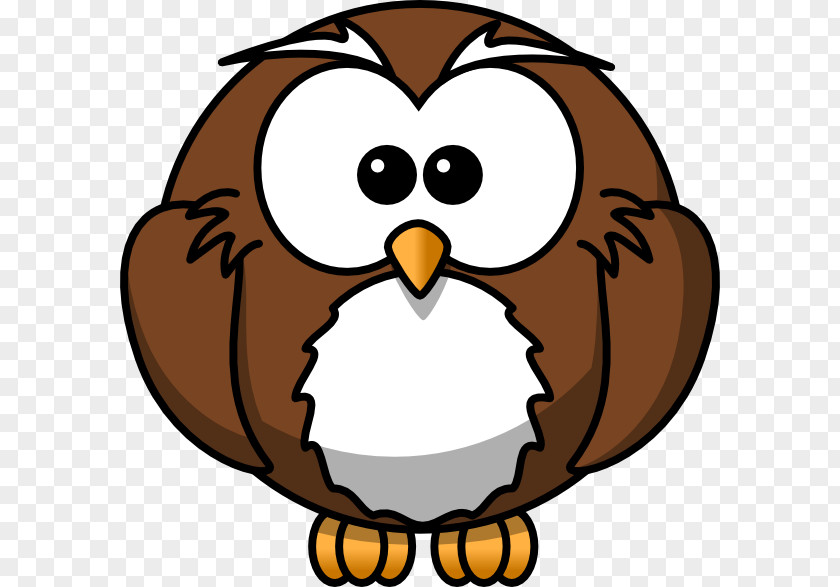 Animal Cartoon Images Owl Animation Clip Art PNG