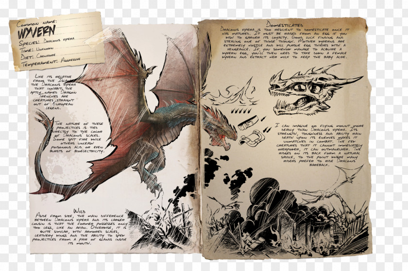 Dragon ARK: Survival Evolved Wyvern Tame Animal Legendary Creature PNG