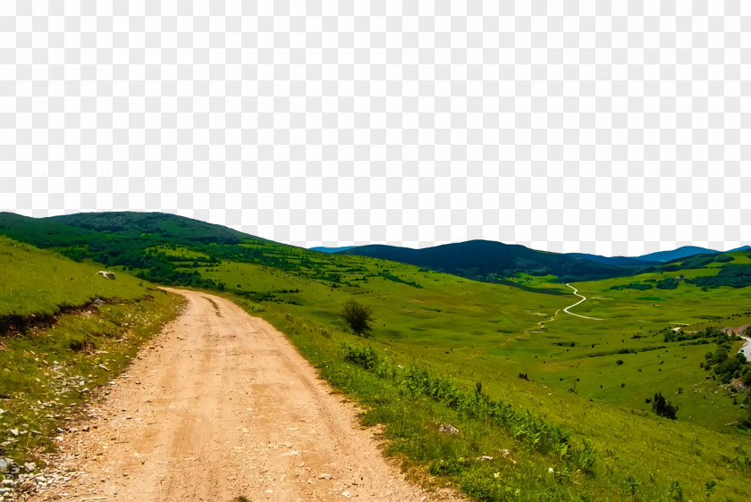 Mount Scenery Plant Community Vegetation Grassland Steppe PNG