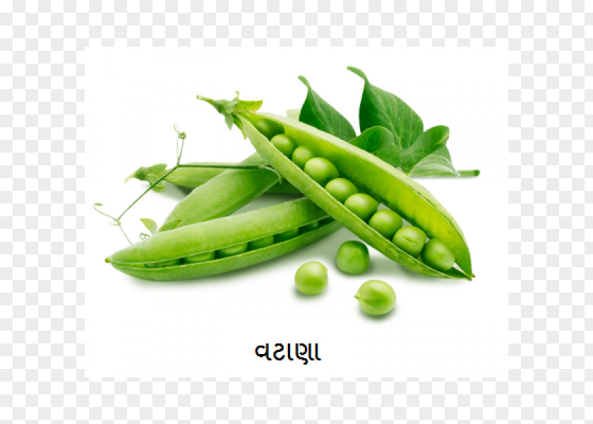 Pea Organic Food Vegetable Nutrient PNG