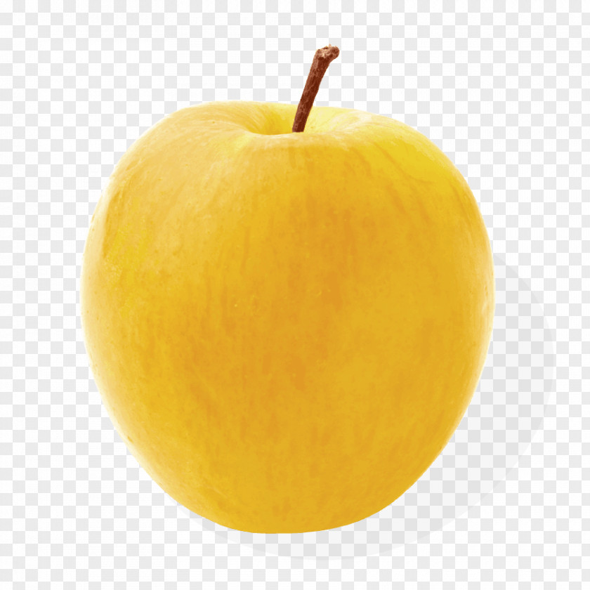 Apple Golden Delicious Bila Tserkva Cultivar Price PNG