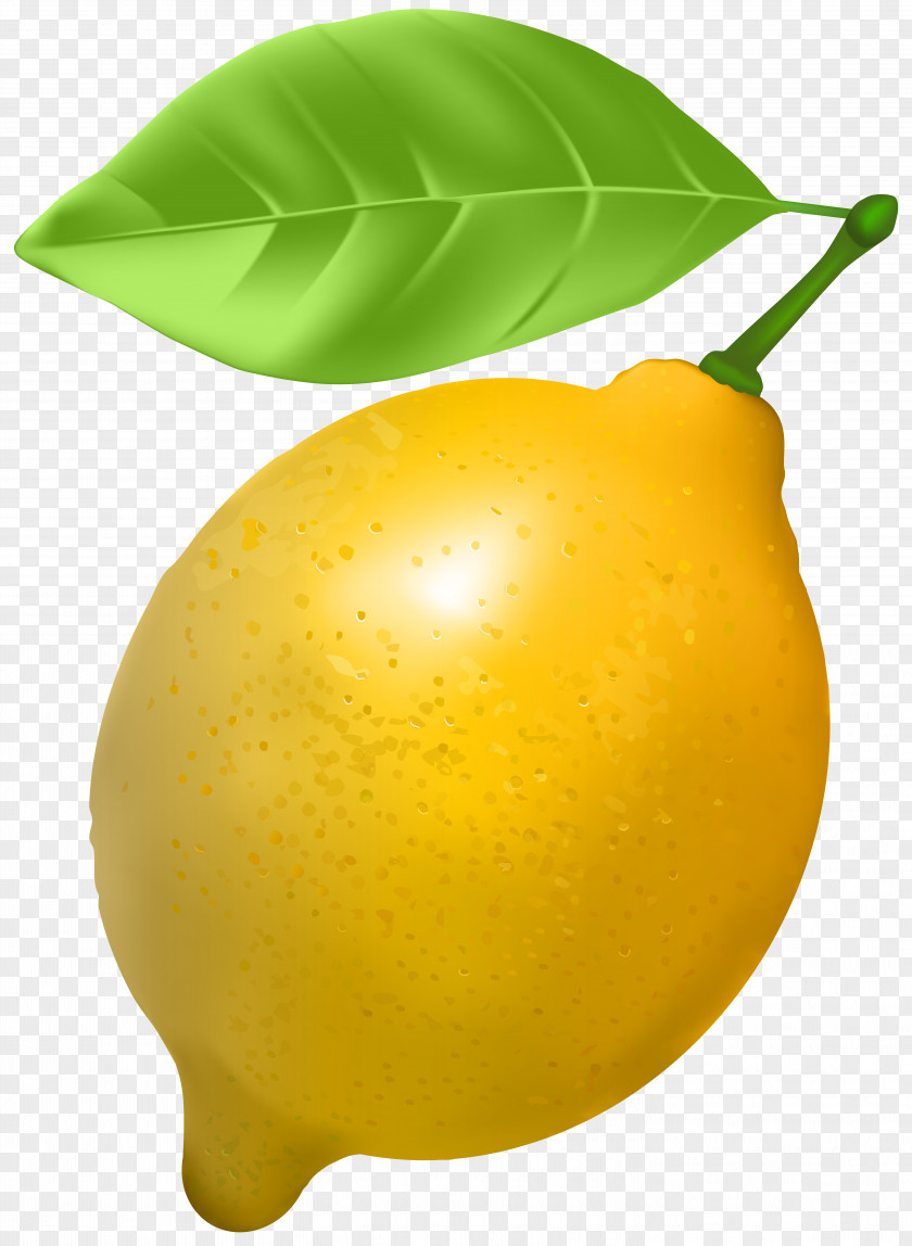 Lemon Sweet Citron Tangerine Clip Art PNG