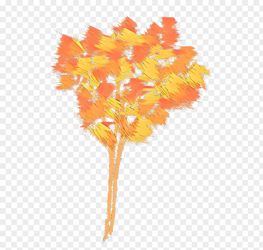 Orange PNG