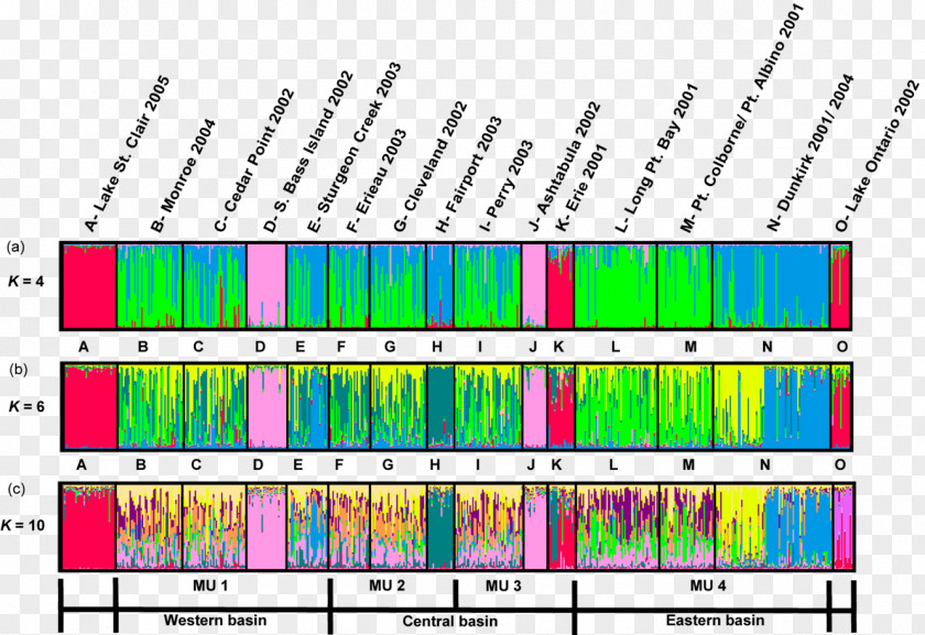 Wen Genetic Structure Population Genetics Microsatellite Variation PNG