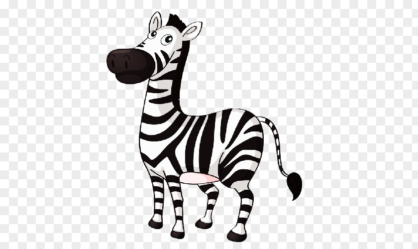 Cartoon Zebra Download Clip Art PNG