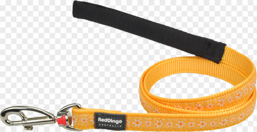 Design Leash Computer Hardware PNG