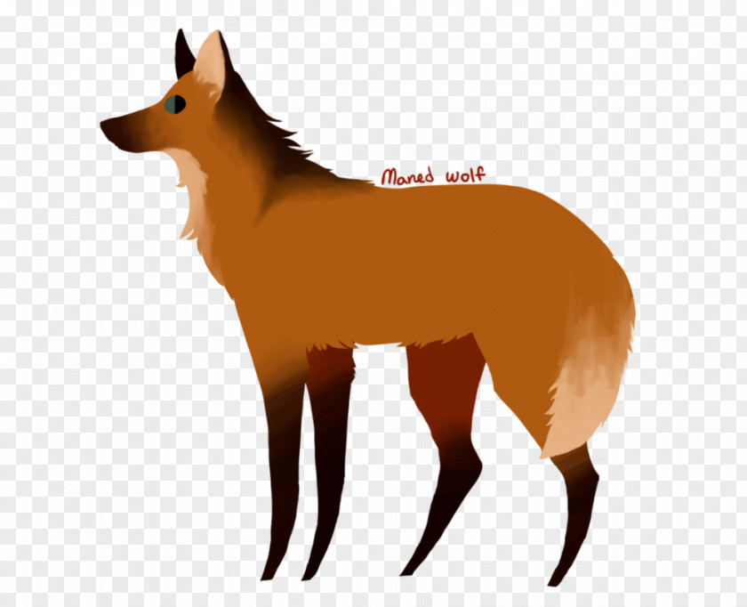Dog Red Fox Breed Snout PNG