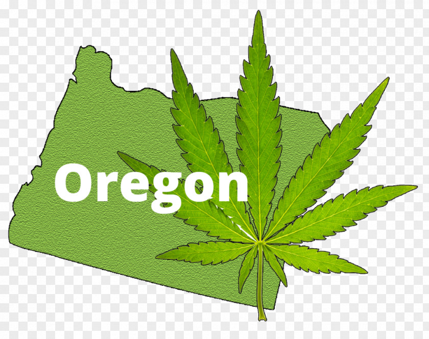 Marijuana Cannabis In Oregon Medical Recreational Drug Use PNG