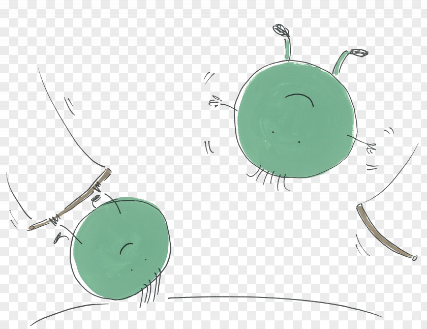Pea Animation Teaser Campaign Storyboard Cartoon Curiosity PNG