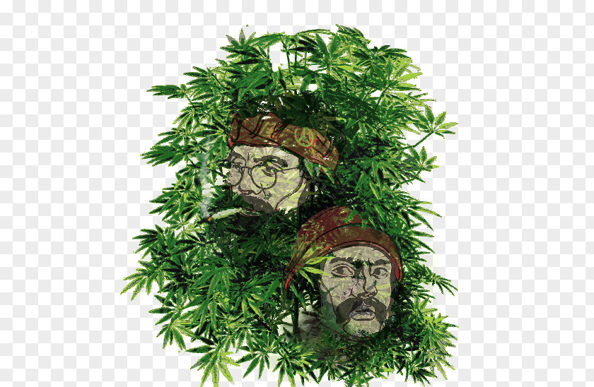 Cannabis Desktop Wallpaper Medical Kush Ruderalis PNG