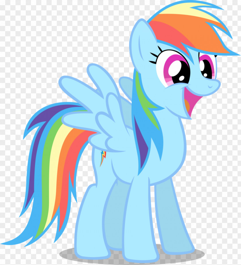 Dash Rainbow Twilight Sparkle Pinkie Pie Pony Rarity PNG