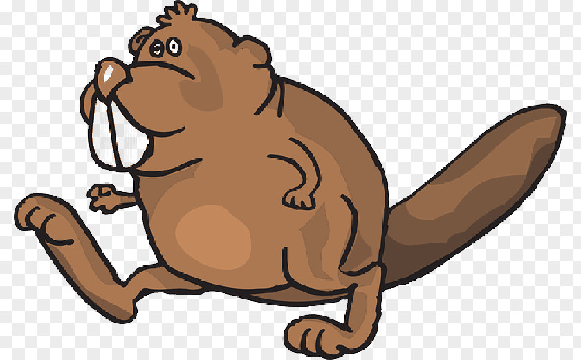 Animation Tail Beaver Cartoon PNG