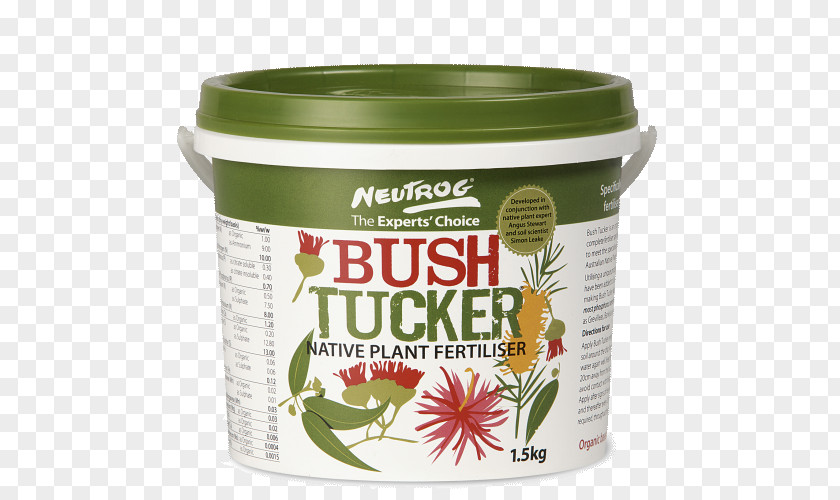 Chilli Plant Bush Tucker Native Food The PNG