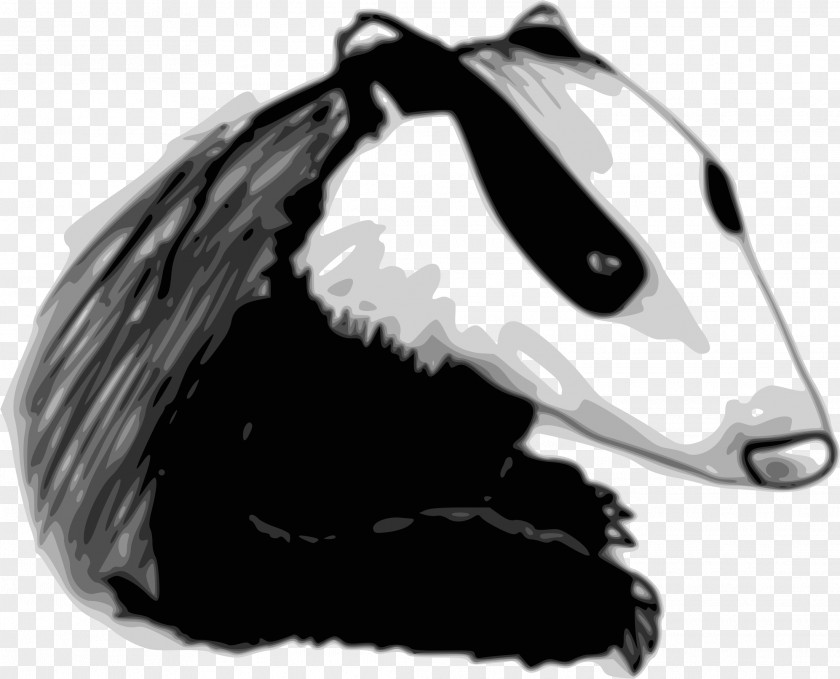 European Badger Drawing Clip Art PNG