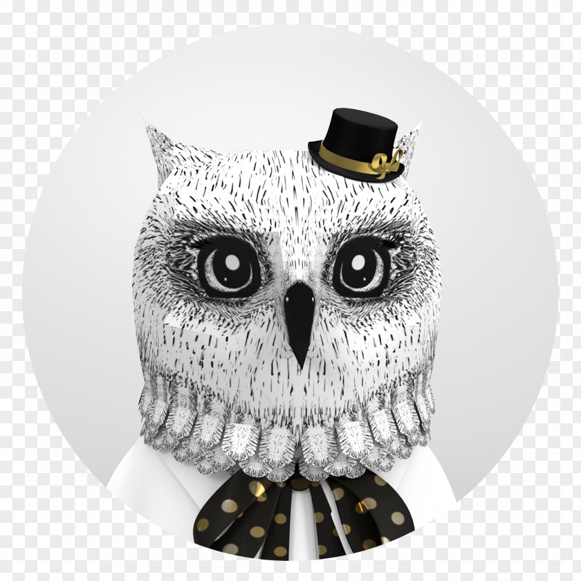 Owl PNG