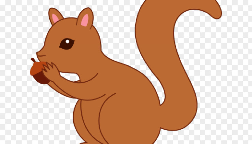 Squirrel Clip Art Image Free Content PNG