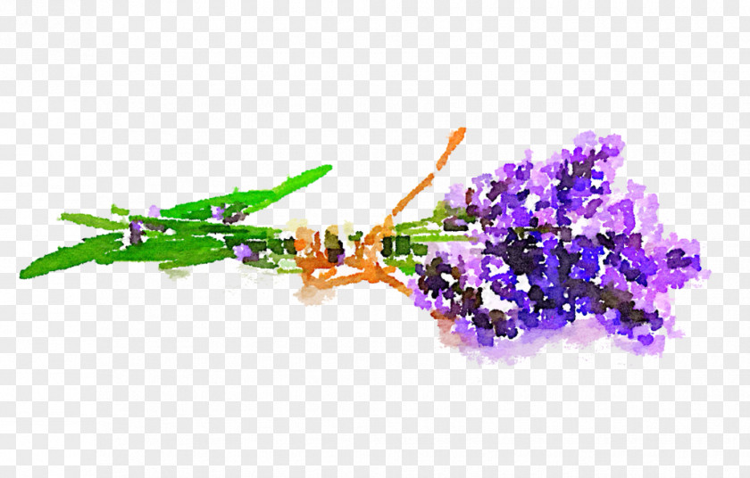 Watercolor Flower Transparent Violet Painting PNG