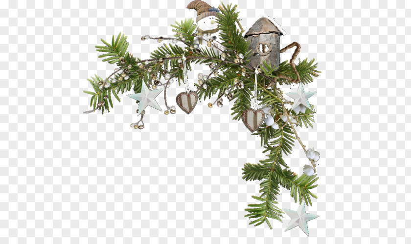 Christmas Fir Ornament Tree Picture Frames PNG