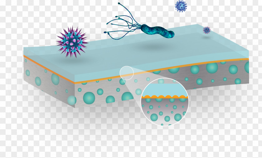 Home Textiles Antimicrobial Microorganism Bacteria Mold PNG