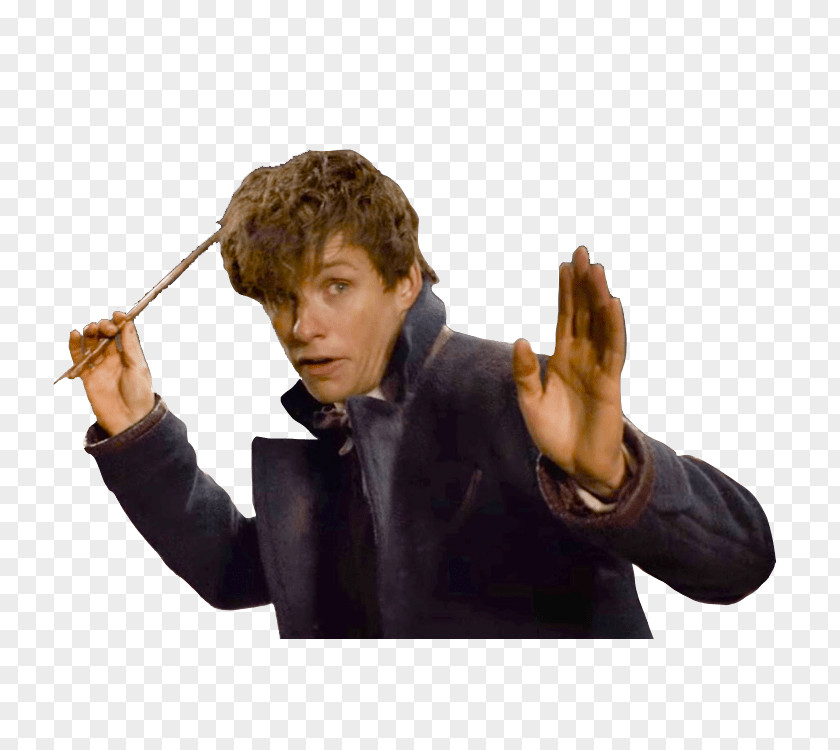 J. K. Rowling Fantastic Beasts And Where To Find Them Newt Scamander Jacob Kowalski PNG