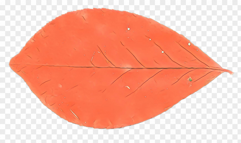 Plant Red Orange PNG