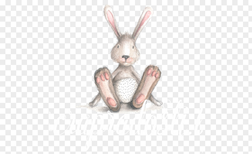 Rabbit Baby Shower Gift Gender Reveal Party PNG