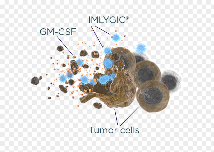 Cancer Cell Treatment Of Oncolytic Virus Melanoma PNG