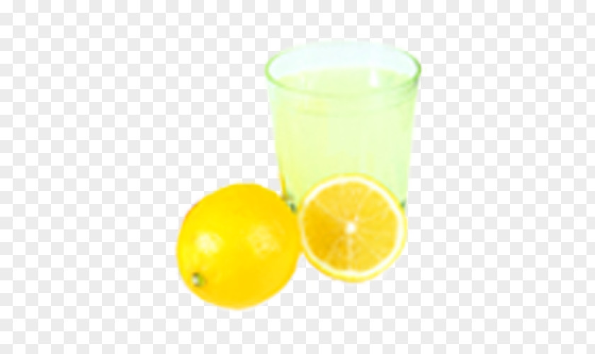Limon Orange Juice Harvey Wallbanger Cocktail Fuzzy Navel PNG
