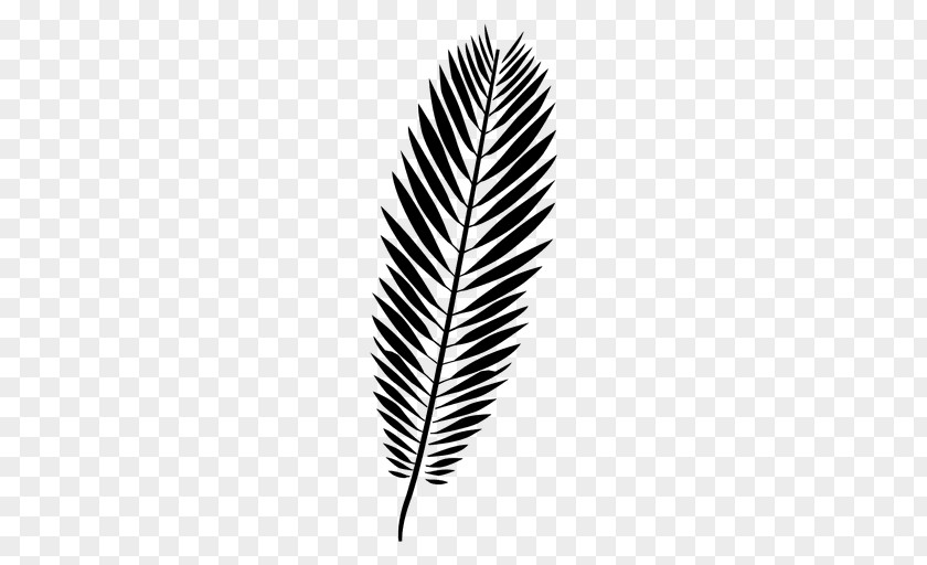 M Leaf Black & White PNG