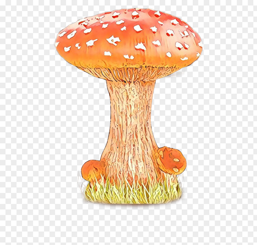 Mushroom Orange S.A. Table PNG