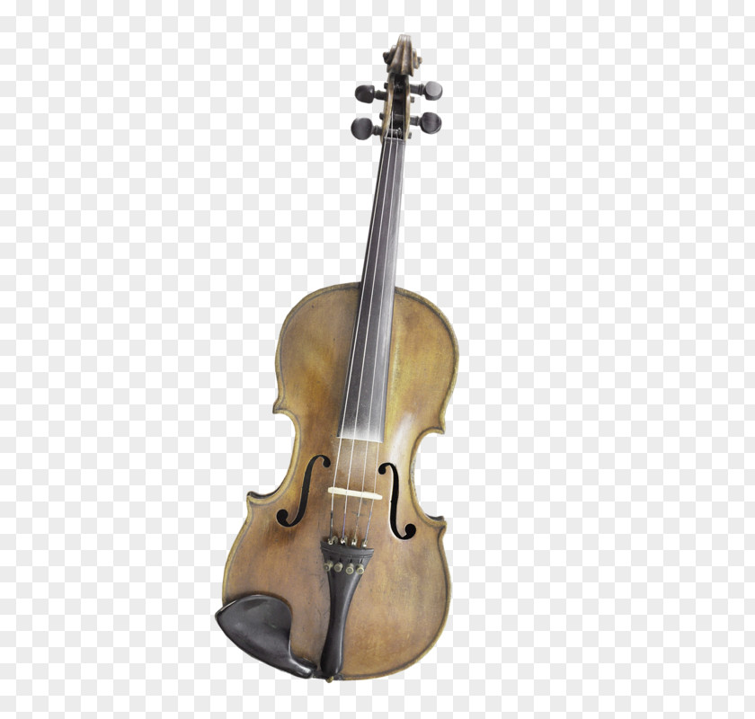 Violin Bass Viola Violone Cello PNG