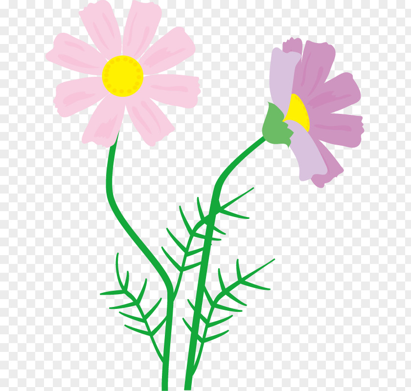 Clip Art Cut Flowers Illustration Floral Design PNG