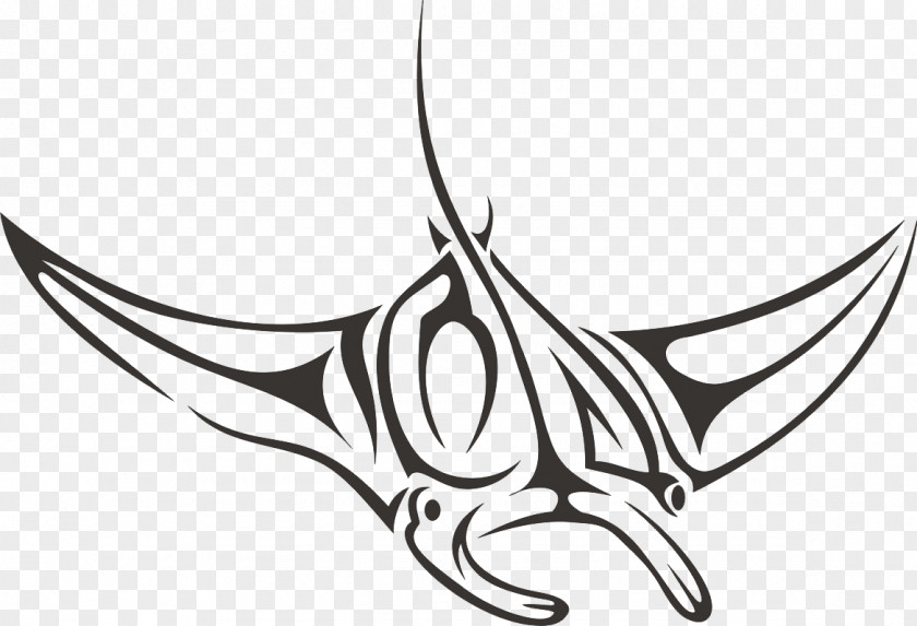 CorelDRAW Cdr Giant Oceanic Manta Ray Clip Art PNG