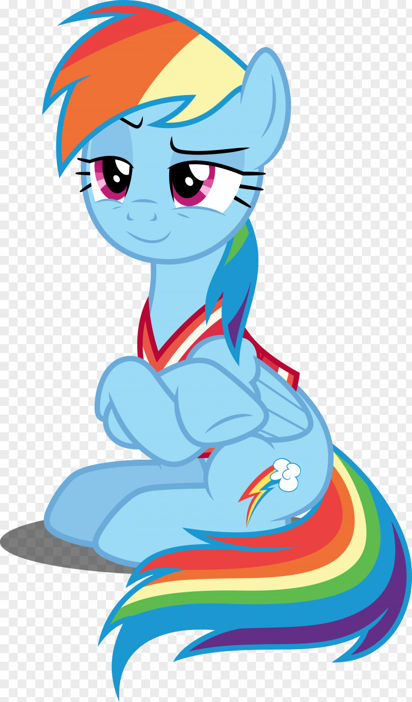 Dash Rainbow My Little Pony Twilight Sparkle PNG