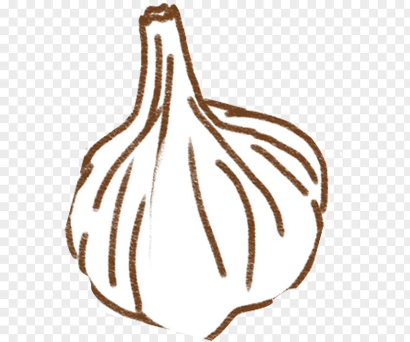 Garlic Clip Art PNG