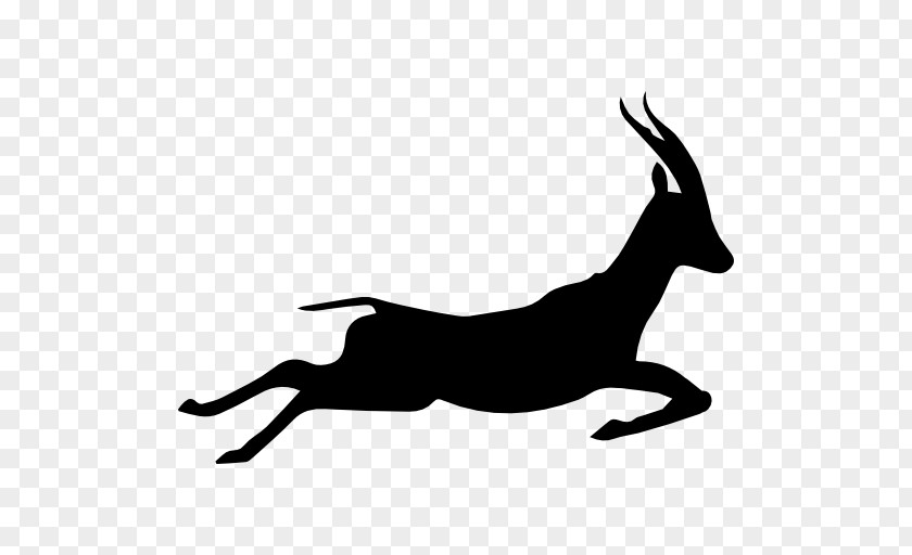 Gazelle Image Silhouette Running Icon PNG