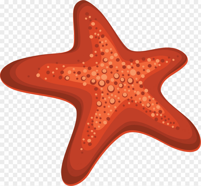 Starfish Clip Art PNG