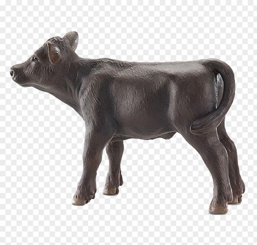 Toy Angus Cattle Welsh Black Aberdeen Calf Schleich PNG
