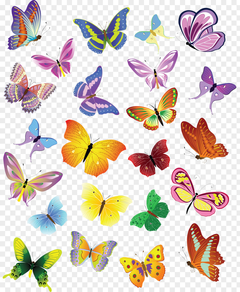 Butterfly Clip Art PNG