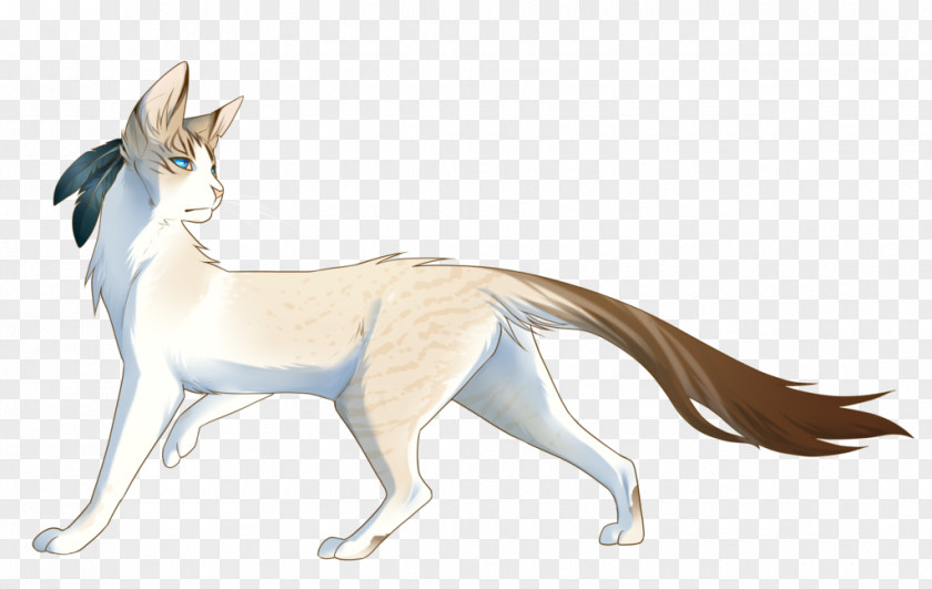 Cat Whiskers Red Fox Tail PNG