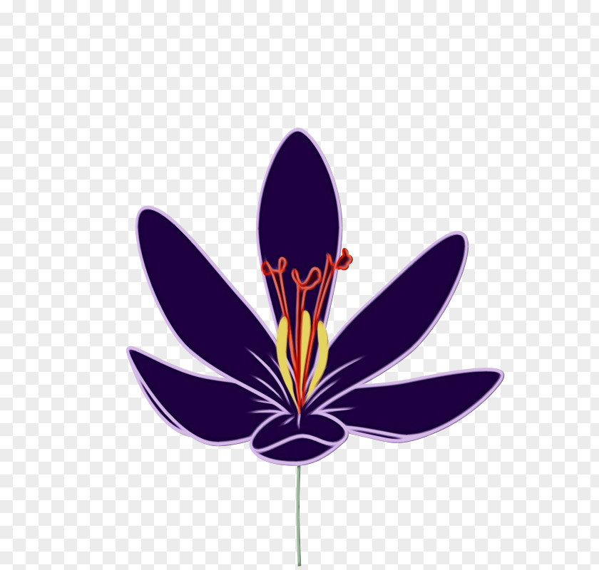 Flower Purple Plant Violet Petal PNG