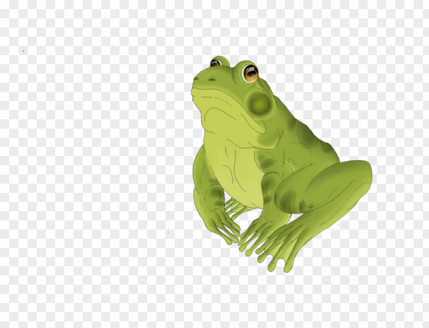 Frog True Edible Digital Illustration PNG