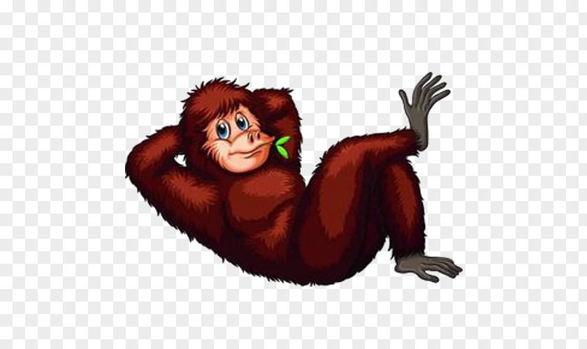 Orangutan Animal Illustrations Stock Photography Clip Art PNG