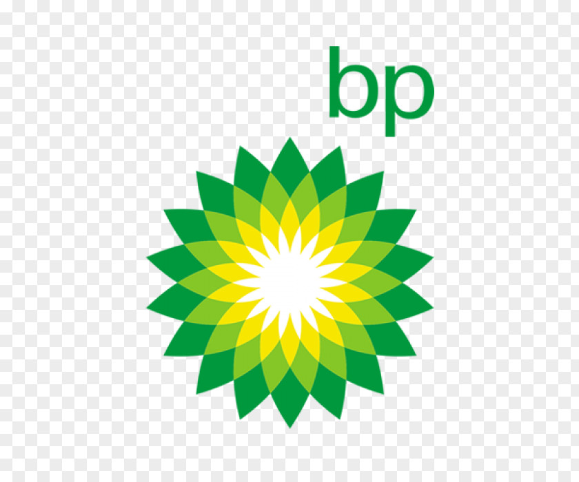 Petrolium BP Organization Natural Gas PNG