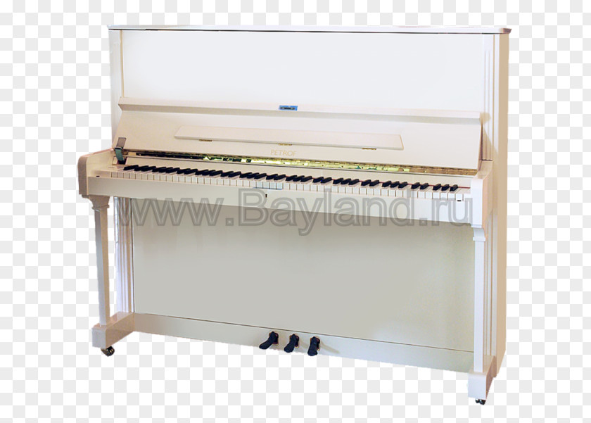 Piano Digital Electric Player Pianet Spinet PNG