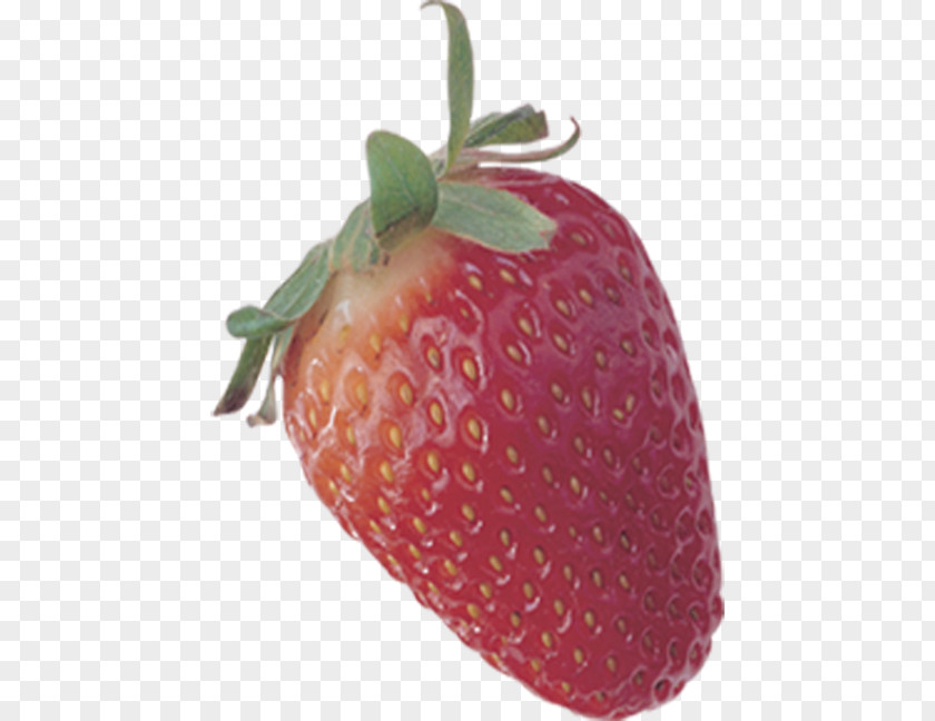 Strawberry Cream Cake Aedmaasikas Fruit PNG